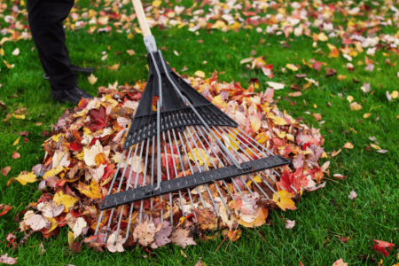 Seasonal Cleaning Guide: Preparing Your Home for Winter